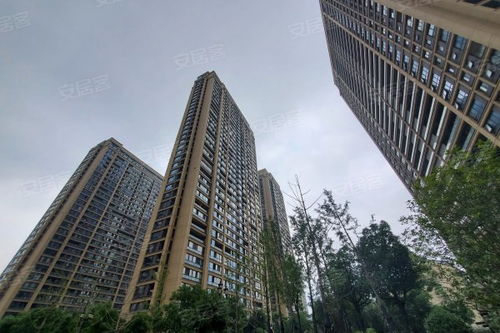 針織廠宿舍居住體驗與房產交易環境全解析